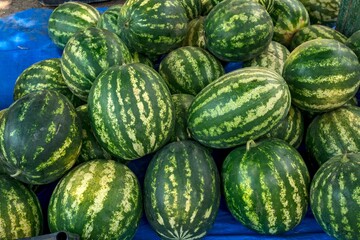 fresh watermelons are piled up in blue buckets
