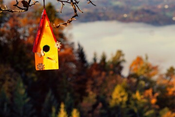 Closeup of a wooden birdhouse painted in bright colors, hanging on a branch