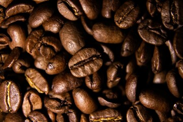 Closeup of fresh coffee beans background