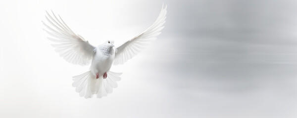 Dove descending, copy space, dynamic ,white Dove fly on pastel vintage background for Freedom...