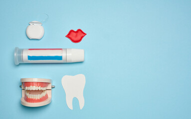 Model of a human jaw with white teeth, dental floss and toothpaste on a blue background, top view.