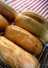 Plain bagels viewed from above for sale in a bakery