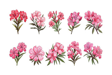 Set of flowers collection