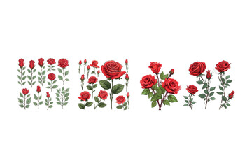 Set of flowers collection