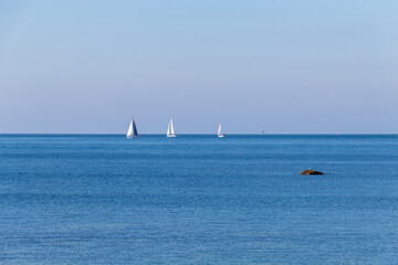 Fototapeta premium sailboat on the sea