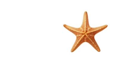 Starfish on sand isolated on transparent a white background