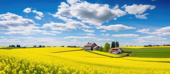 Poster Amidst a field of yellow flowers, there are houses surrounded by lush green grass under a vast blue sky with fluffy white clouds, creating a peaceful natural landscape © pngking