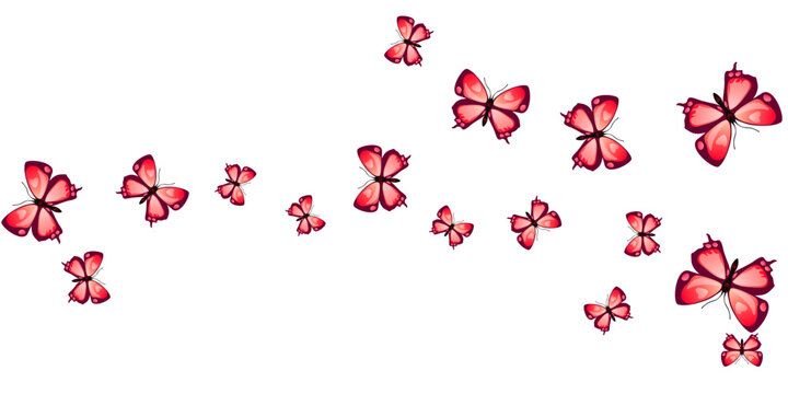 Romantic red butterflies abstract vector background. Summer vivid moths. Simple butterflies abstract baby wallpaper. Tender wings insects patten. Tropical beings.