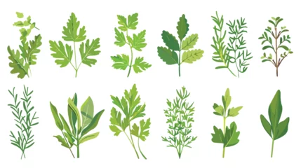 Fotobehang Aromatic Herbs with Parsley and Rosemary for Flavor © iclute