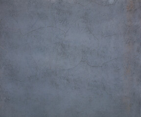 The background is a gray old shabby wall, concrete.