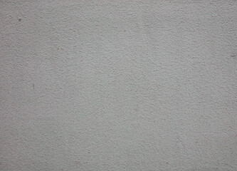 The background is a gray old shabby wall, concrete.