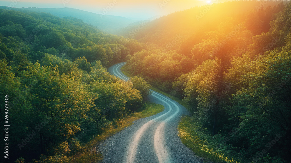 Wall mural a winding road in a green forest.