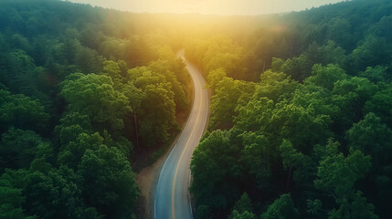 A winding road in a green forest. - obrazy, fototapety, plakaty