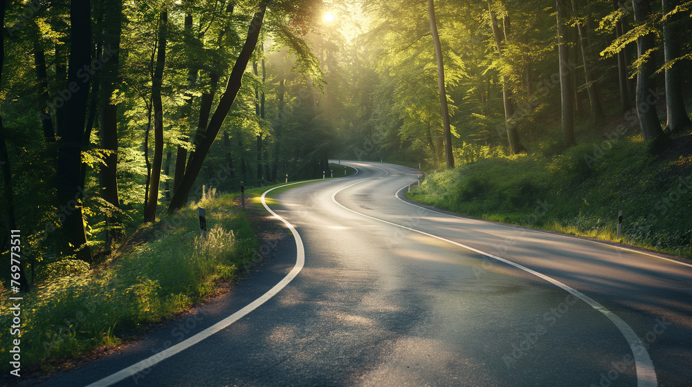 Wall mural a winding road in a green forest.