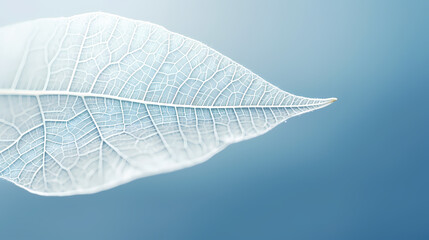 minimalist abstract leaves