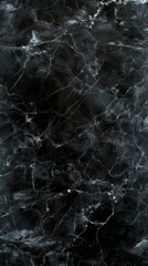Black marble texture with intricate white veining