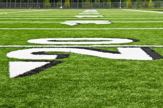 A photorealistic image of a green American football field with a large, black and white team logo painted on the center of the 50-yard line. The field is enclosed by a black fence and there are trees 
