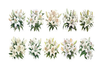 Set of white lily tropical flowers collection - obrazy, fototapety, plakaty