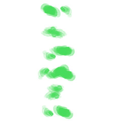 footprint from grass