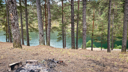 Lake in the forest among pine trees on a sunny summer day. - 769778904