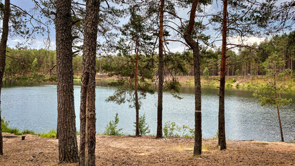 Lake in the forest among pine trees on a sunny summer day. - 769778907