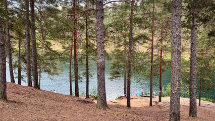 Lake in the forest among pine trees on a sunny summer day. - 769778914