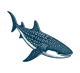 Fototapeta premium Whale Shark hand drawn vector illustration