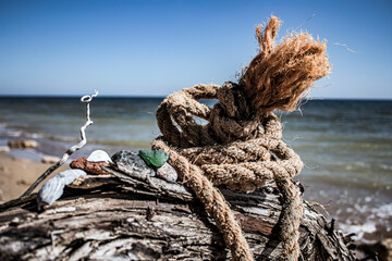 Small seashells and pebbles lie on a branch of a dry tree against the background of a rope	
