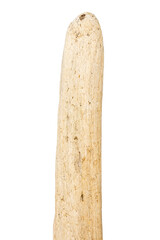 Part of driftwood isolated on white