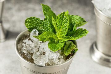 Refreshing Cold Iced Mint Julep Cocktail - obrazy, fototapety, plakaty