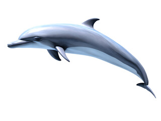 bottlenose dolphin isolated