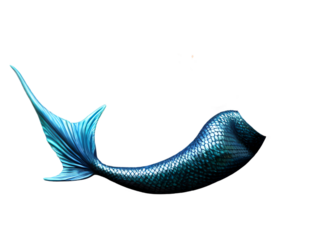 blue mermaid tail isolated