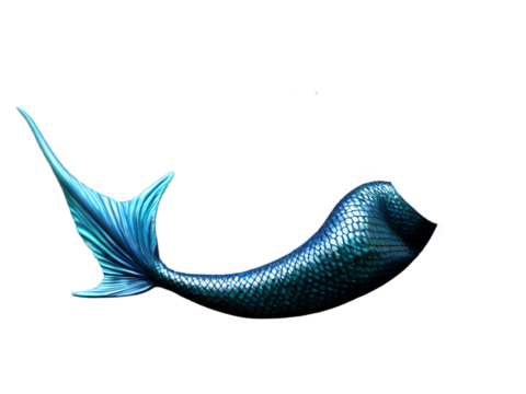 blue mermaid tail isolated