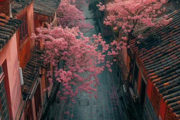  top view on narrow city street with blooming cherry © Marta
