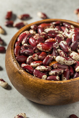 Dry Organic Cattle Kidney Beans