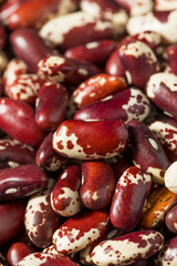Dry Organic Cattle Kidney Beans