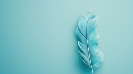 A delicate blue feather lies on a textured background with soft lighting and shadow.