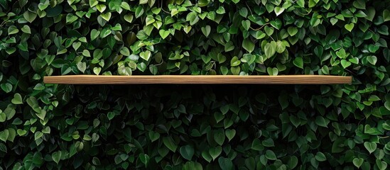 A rectangular wooden shelf is set against a green wall covered in terrestrial plants, creating a natural landscape of foliage and wood