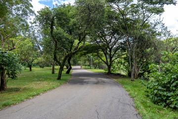 Fototapeta na wymiar Ibirapuera Park in Sao Paulo, SP, Brazil