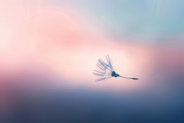 Dandelion seed floating in the air with a soft pastel background - obrazy, fototapety, plakaty