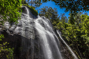 Blackfellow Falls in Rush Creek in Binna Burra Section of Lamington National Park, Queensland, Australia.