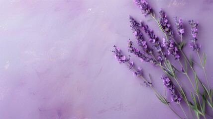 A bunch of lavender flowers lying on a textured purple surface with ample space for text.