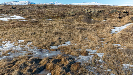 Beautiful icelandic landscape in Selfoss, Iceland on march 2024