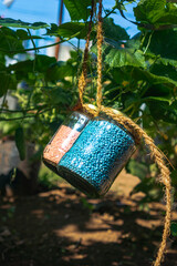 using an inorganic fertilizer for home garden high in nitrogen, phosphate and potassium, cucumber...