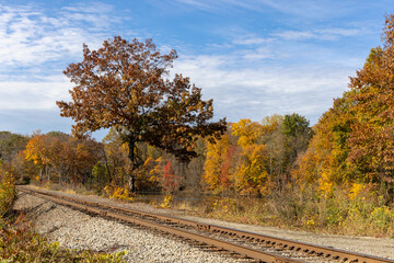 Blue skies,  autumn colors and rusted train tracks - 769810752