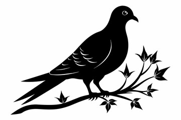 Captured a  dove bird on a branch silhouette on white background