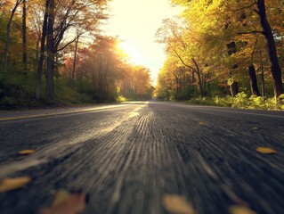 A low angle view of a road surrounded by fall colors with sunlight filtering through trees.