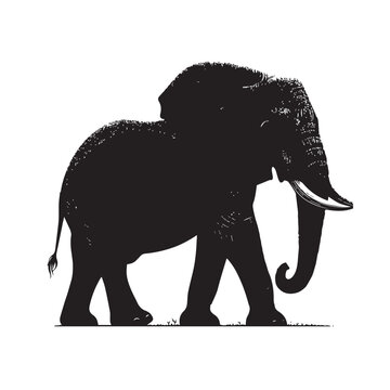 Large African Elephant silhouette ,Large African Elephant silhouette image ,Large African Elephant silhouette vector,Large African Elephant silhouette png