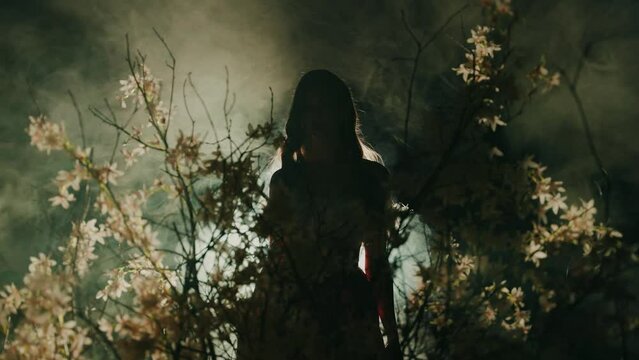 shadow dark silhouette fantasy woman goes to bright magical divine moon light ray in black night garden glow, fog tree branch flowers. Mystery sexy lady Gothic Girl princess. magic smoke mist art 4k