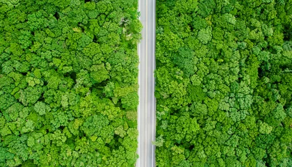 Tuinposter 제주도 한라산 1100 도로 숲길 드라이브 풍경 © Healingfilms